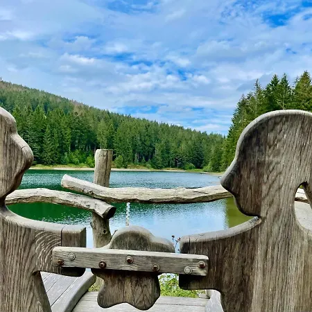 Harzurlaub * גוסלר