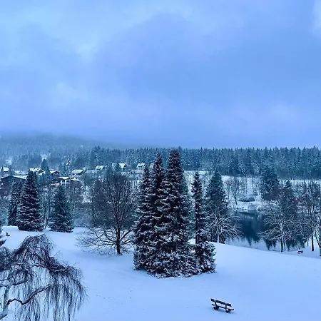 דירה Harzurlaub גוסלר