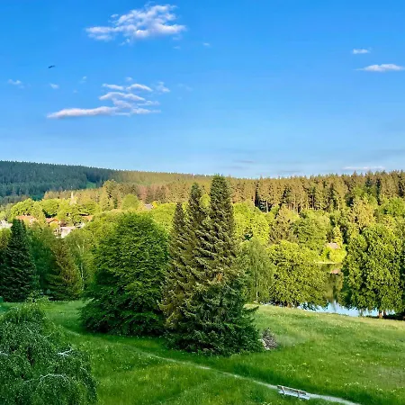 Harzurlaub Apartment *