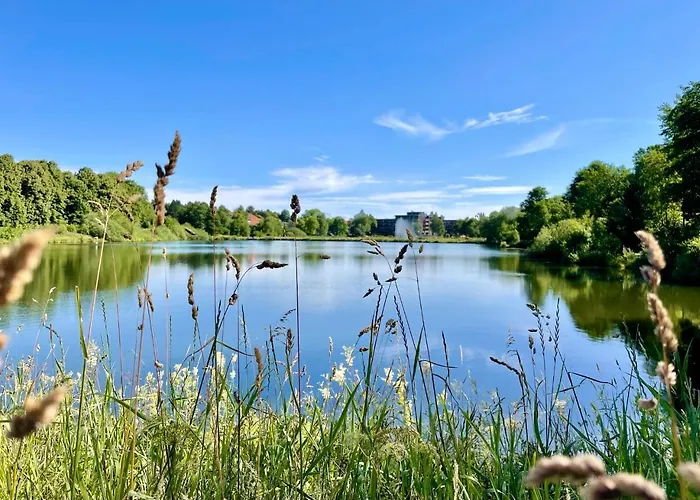 Harzurlaub Appartement *