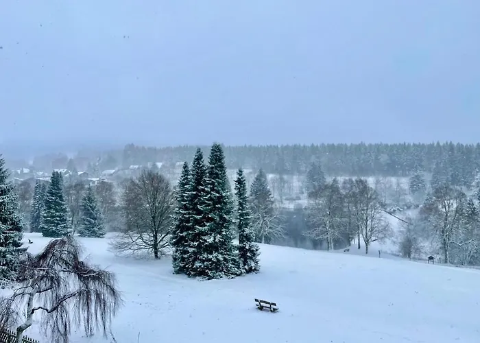 Harzurlaub Appartement