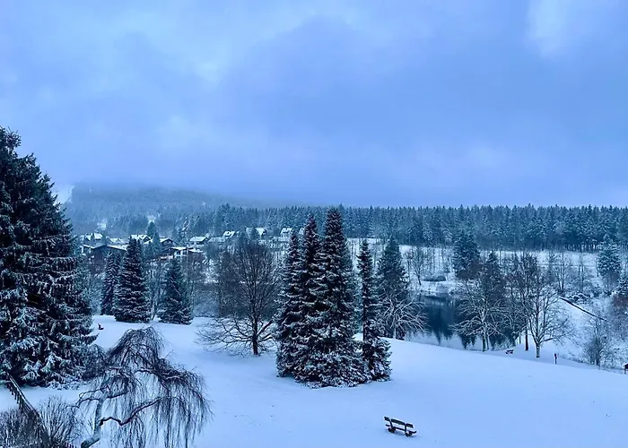 Appartement Harzurlaub Goslar