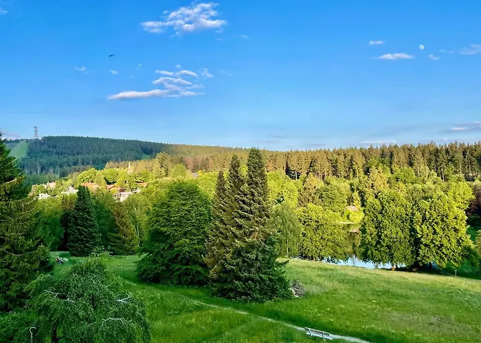 Harzurlaub Appartement *